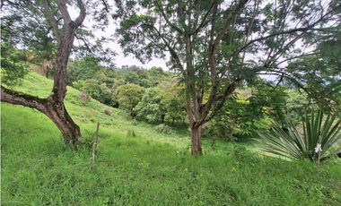 LOTE DE 12.000 M2 EN VENTA, ARBELAEZ CUNDINAMARCA
