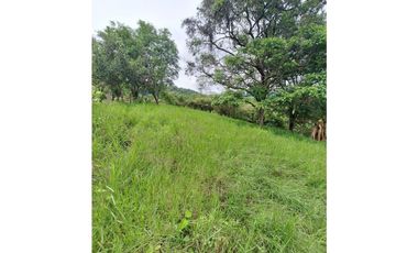 LOTE DE 12.000 M2 EN VENTA, ARBELAEZ CUNDINAMARCA