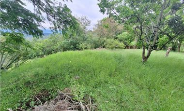 LOTE DE 12.000 M2 EN VENTA, ARBELAEZ CUNDINAMARCA