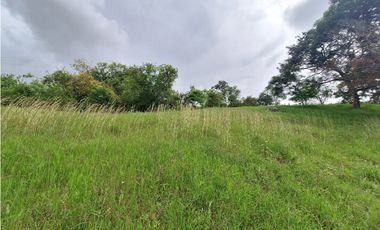 LOTE DE 12.000 M2 EN VENTA, ARBELAEZ CUNDINAMARCA