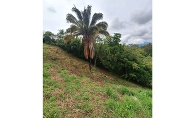 LOTE DE 12.000 M2 EN VENTA, ARBELAEZ CUNDINAMARCA