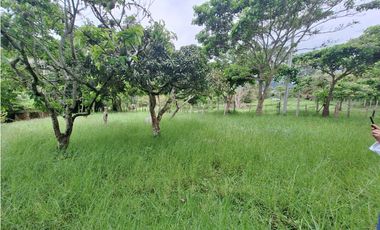 LOTE DE 12.000 M2 EN VENTA, ARBELAEZ CUNDINAMARCA