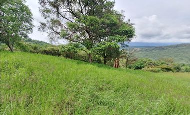LOTE DE 12.000 M2 EN VENTA, ARBELAEZ CUNDINAMARCA