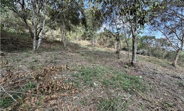 Venta de Lote en Las Palmas El Retiro