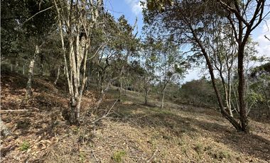 Venta de Lote en Las Palmas El Retiro