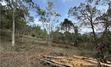 Venta de Lote en Las Palmas El Retiro