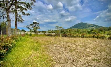 Venta Lote Plano Todos Los Servicios Parcelacion a 15 mins Llanogrande