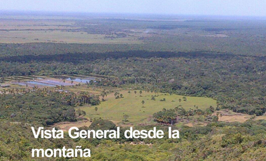 VENTA FINCA 263 HECT. EN VILLA NUEVA CASANARE