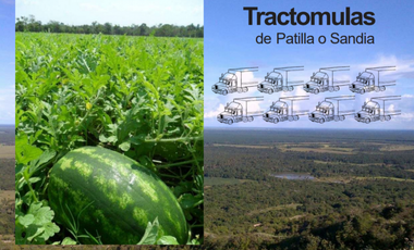 VENTA FINCA 263 HECT. EN VILLA NUEVA CASANARE