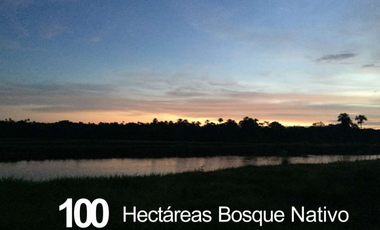 VENTA FINCA 263 HECT. EN VILLA NUEVA CASANARE