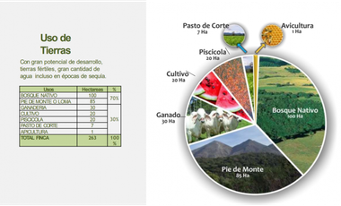VENTA FINCA 263 HECT. EN VILLA NUEVA CASANARE