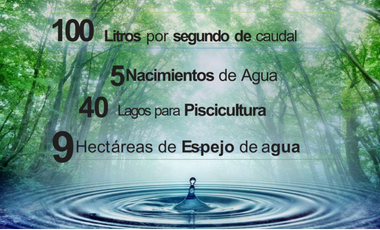 VENTA FINCA 263 HECT. EN VILLA NUEVA CASANARE