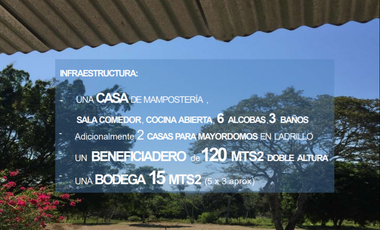 VENTA FINCA 263 HECT. EN VILLA NUEVA CASANARE