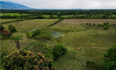 En venta finca de 22.5 hectáreas en Restrepo, Meta