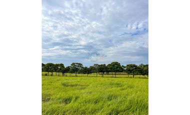 En venta finca de 22.5 hectáreas en Restrepo, Meta