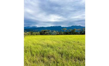 En venta finca de 22.5 hectáreas en Restrepo, Meta