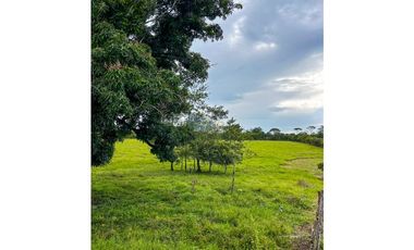 En venta finca de 22.5 hectáreas en Restrepo, Meta