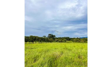 En venta finca de 22.5 hectáreas en Restrepo, Meta
