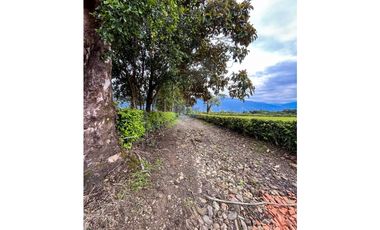En venta finca de 22.5 hectáreas en Restrepo, Meta