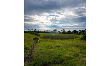 En venta finca de 22.5 hectáreas en Restrepo, Meta