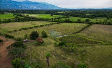En venta finca de 22.5 hectáreas en Restrepo, Meta