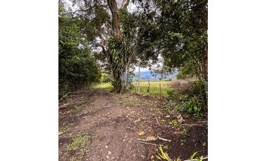 En venta finca de 22.5 hectáreas en Restrepo, Meta