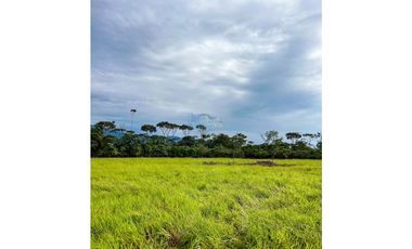 En venta finca de 22.5 hectáreas en Restrepo, Meta