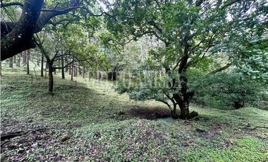 Oportunidad! Se Vende Amplio Lote en Laurel - Altos del Maria