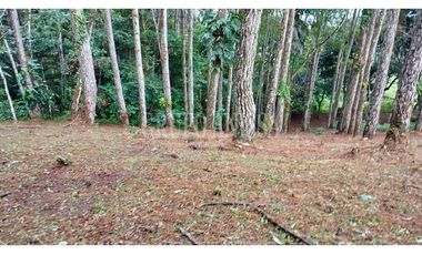 Oportunidad! Se Vende Terreno de Esquina Zona Alta - Altos del Maria