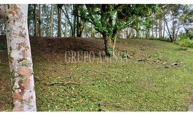 Oportunidad! Se Vende Terreno de Esquina Zona Alta - Altos del Maria