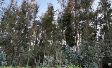 Casa en Venta en Camino a Panimávida