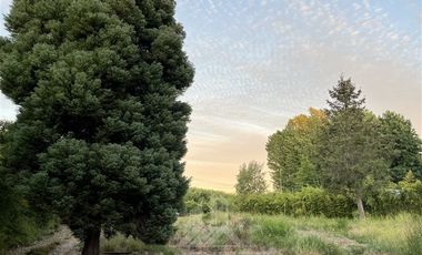 Terreno Construccion  en Venta en Camino a Panimávida