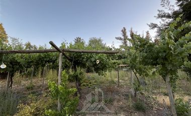 Terreno Construccion  en Venta en Camino a Panimávida