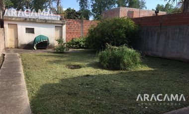 Arana al 1700 - Luis Guillon