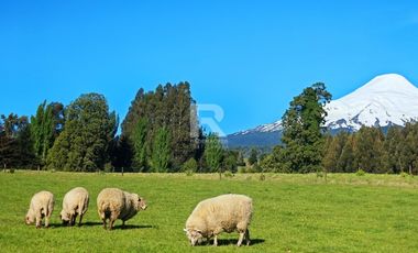 PARCELAS CON ORILLA O BORDE LAGO EN CASCADAS