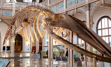 Local comercial en arriendo en SANTIAGO