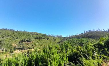 Parcela en venta  en CURICÓ