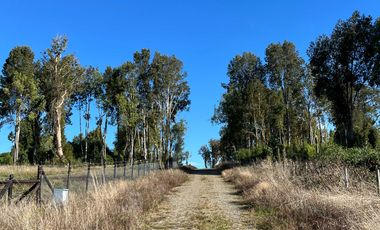 Parcela en venta en PUERTO VARAS