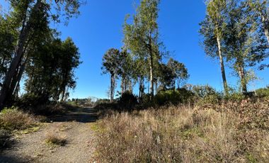 Parcela en venta en PUERTO VARAS