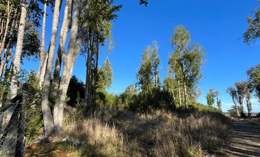Parcela en venta en PUERTO VARAS
