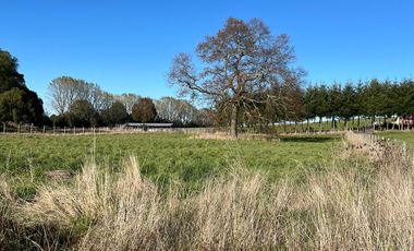 Parcela en venta en PUERTO VARAS