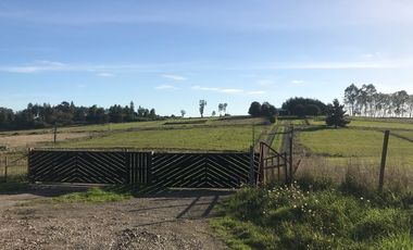 Parcela en venta en PUERTO VARAS