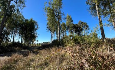 Parcela en venta en PUERTO VARAS