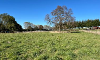 Parcela en venta en PUERTO VARAS