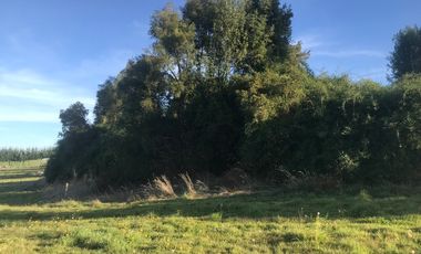 Parcela en venta en PUERTO VARAS