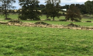 Parcela en venta en PUERTO VARAS