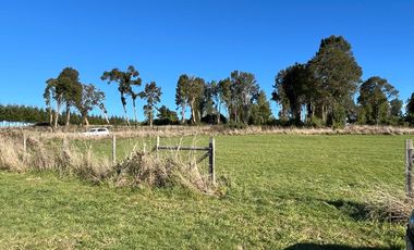 Parcela en venta en PUERTO VARAS