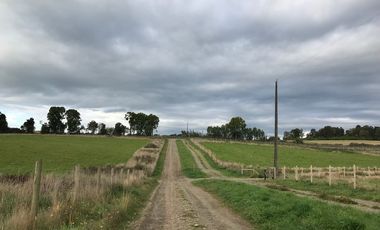 Parcela en venta en PUERTO VARAS