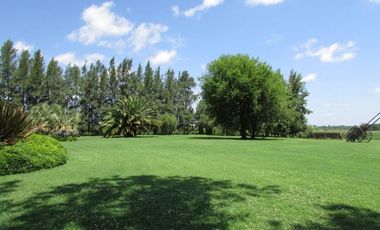 Venta campo de 58hs con casco moderno en Lobos