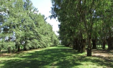 Venta campo de 58hs con casco moderno en Lobos
